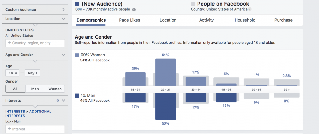 facebook audience